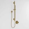 Luxe Brushed Gold Shower & Riser Kit -LUSSO STONE Sales luxe brushed gold shower riser kit p1566 9305 zoom