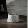 Vasoni Carrara Marble Dog Bowl